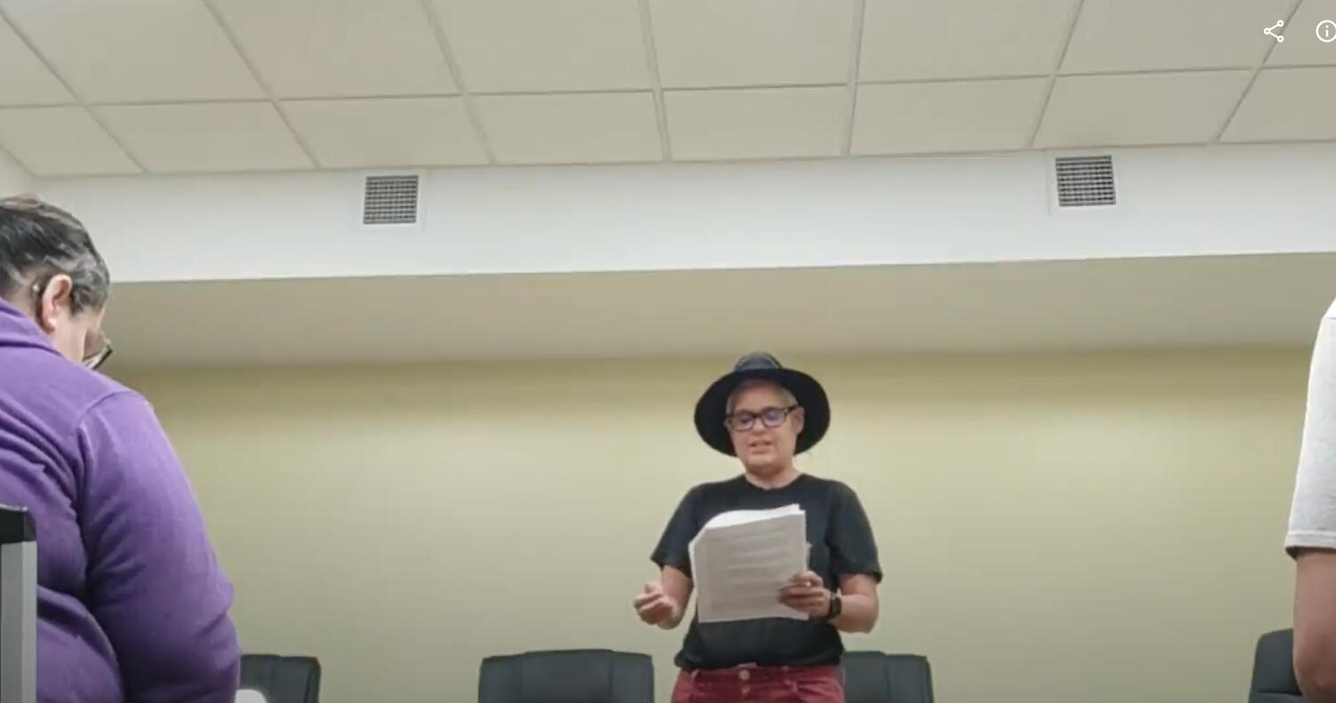 Vas Presenting A person wearing black is giving a presentation.